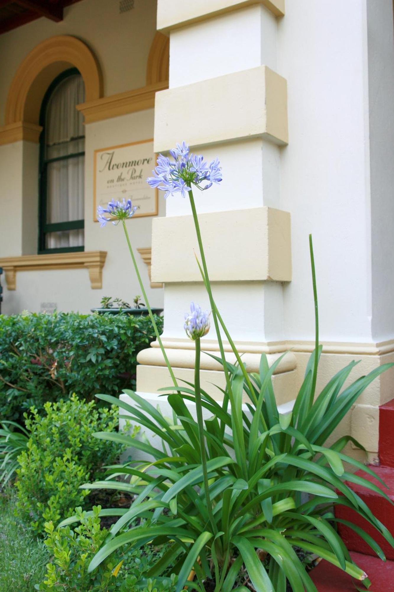 Avonmore On The Park Boutique Hotel Randwick Zewnętrze zdjęcie
